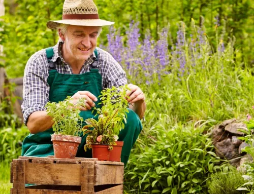 Look After Your Mental Health with Some Gardening