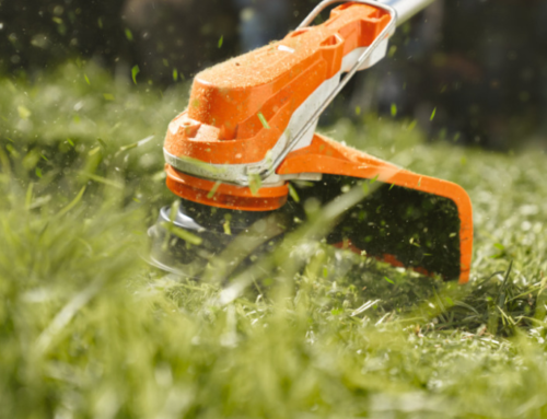 Choosing Between a STIHL Brushcutter and Grass Trimmer: Which is Right for You?